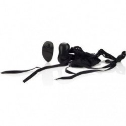 CALEXOTICS - TANGA...