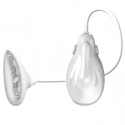 PRETTY LOVE FLIRTATION -...