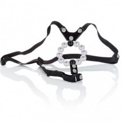CALEXOTICS - TANGA PARA...