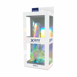 RADIOGRAFÍA - PENE TRANSPARENTE CON TESTÍCULOS 18,5 CM -O- 3,8 CM