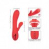 CALEXOTICS - PALISADES ROJO PASIÓN