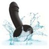 CALIFORNIA EXOTICS CURVED ANAL STUD