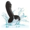 CALEXOTICS - TAPON ANAL CURVO