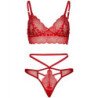 LEG AVENUE - CONJUNTO DE 2 PIEZAS: BRALETTE Y TANGA DE ENCAJE, TALLA M/L