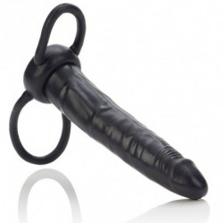 CALEXOTICS - ACCOMMODATOR...