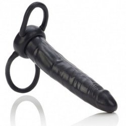 CALEXOTICS - ACCOMMODATOR...