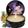 SHUNGA - FRUTAS EXÓTICAS SECRETAS DE GEISHA