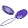 AMOR BONITO - BERGER YOUTH VIOLANDO HUEVOS CONTROL REMOTO VIOLETA