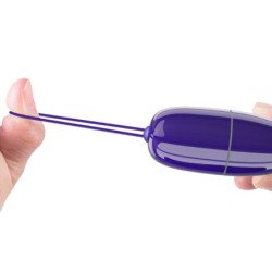 PRETTY LOVE - SELKIE YOUTH MINI HUEVO VIBRATORIO VIBRADOR VIOLETA CON CONTROL REMOTO