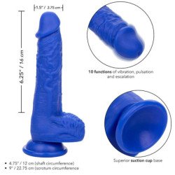 CALEXOTICS - DILDO VIBRADOR REALISTA ADMIRAL SAILOR AZUL