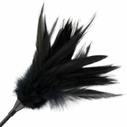 DARKEST - LÁTIGO DE PLUMAS NEGRAS