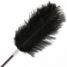 DARKEST - LÁTIGO DE PLUMA DE AMOR NEGRO 56 CM