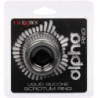 CALEXOTICS - ANILLO DE ESTIRAMIENTO DE ESCROTO ALPHA NEGRO