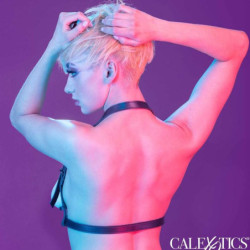 CALEXOTICS - ARNÉS EUPHORIA CON HEBILLA DE CABEZAL NEGRO