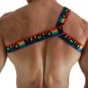 MACHO - ARNES ROMANO PRIDE L/XL
